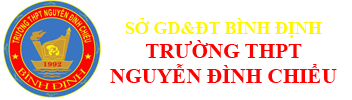 Trường THPT Nguyễn Đình Chiểu, Gia Lai